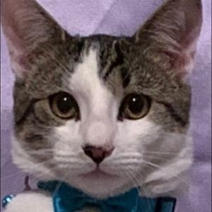 Meet your Posher, Elizabeth